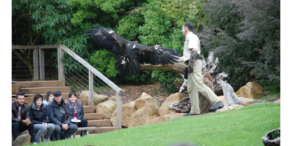 Healesville Sanctuary