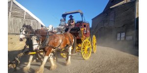 Sovereign Hill - Horse and Cart