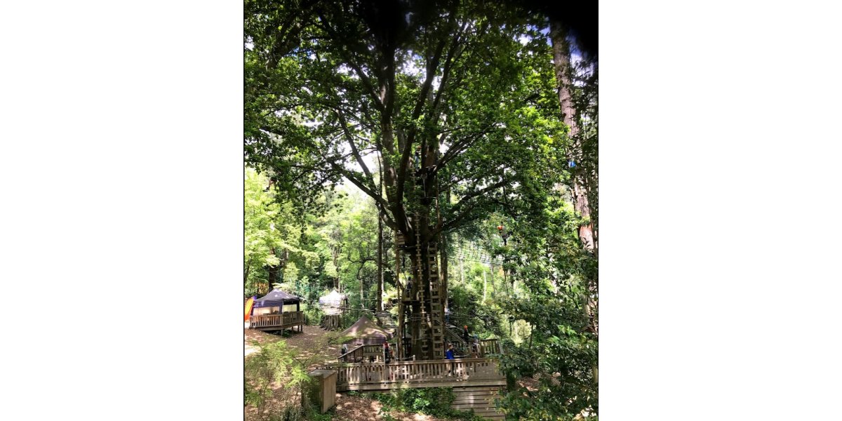 Treetops Adventure Belgrave