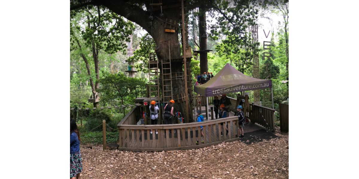 Treetops Adventure Belgrave