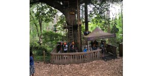 Treetops Adventure Belgrave
