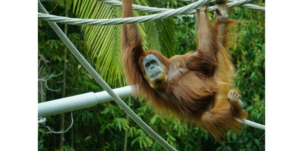 Australian National Botanic Gardens - Visitor Centre